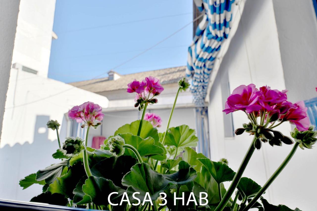 Casas Caballerizas Mezquita 1 Y 3 Hab Cordoba Ngoại thất bức ảnh